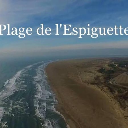 Grand Studio Au Grau-Du-Roi Proche Seaquarium Et Plage Le Grau-du-Roi Bagian luar foto