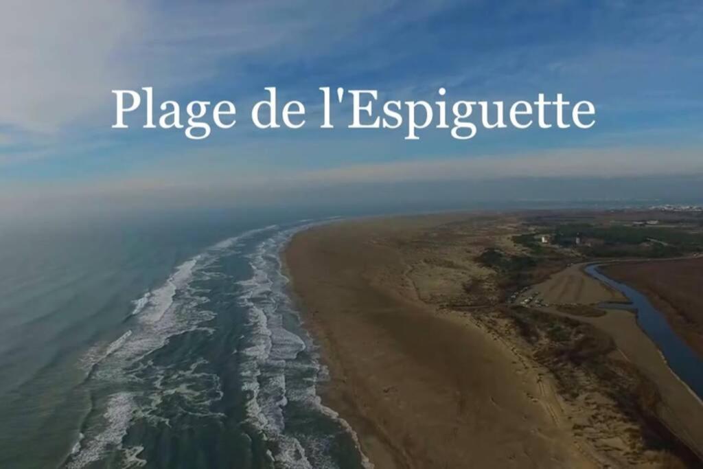 Grand Studio Au Grau-Du-Roi Proche Seaquarium Et Plage Le Grau-du-Roi Bagian luar foto